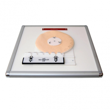 Комплекс "Изучение зубьев" - «globural.ru» - Псков