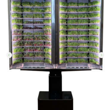 Вертикальная  ферма «Моя микрозелень» комплектация  «Театро настенная» - «globural.ru» - Псков