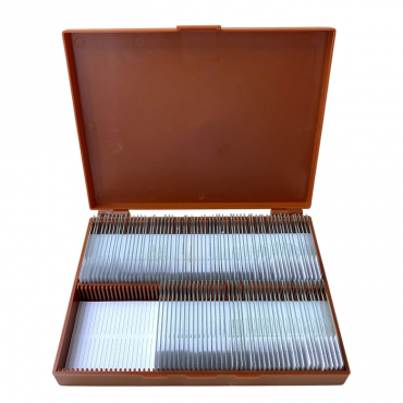 Комплект микропрепаратов по анатомии, ботанике, зоологии, общей биологии - «globural.ru» - Псков